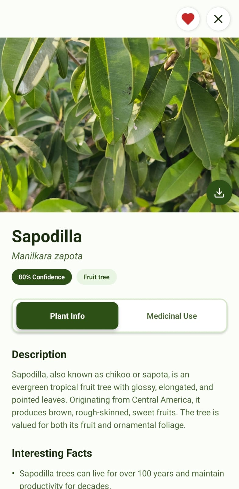 Plant Identification